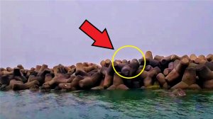 Рыбаки не поверили своим гла когда увидели обезьяну на безлюдном острове где нет ни еды ни воды!