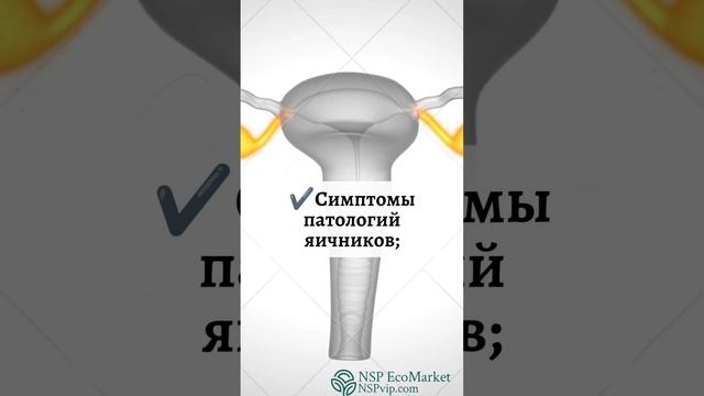 КОГДА НУЖНО СДАВАТЬ АНАЛИЗЫ НА ГОРМОНЫ ЖЕНЩИНАМ?