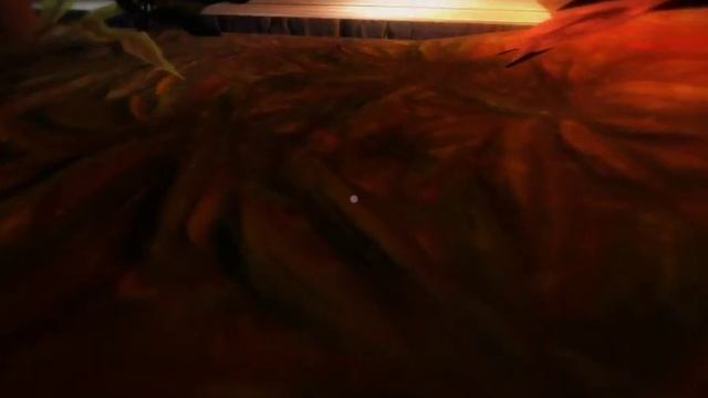 Among the Sleep №2 - Сказочный мир и поиск сов смотреть онлайн