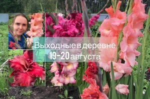 Выходные в деревне 19-20 августа 2023