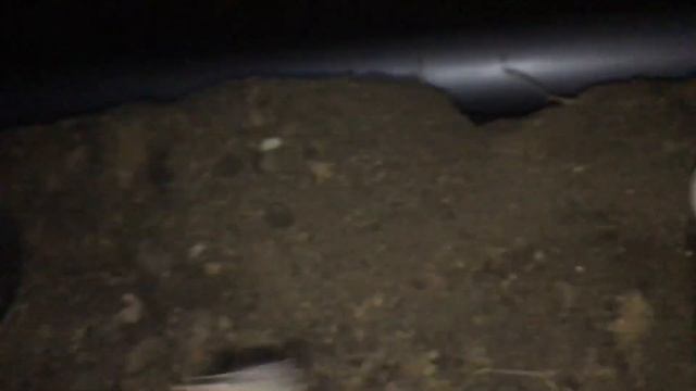 Антикоррозийная обработка металлической гофры вводного кабеля Пушечным салом
