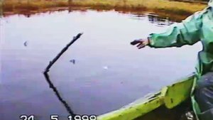 Лехина песня.рыбалка на 9 шлюзе Беломора балтийского канала