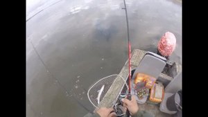 Рыбалка в Астрахани ловля судака на живца