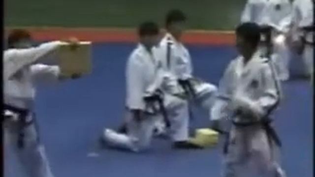 Северная Корея ITF.flv смотреть онлайн