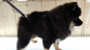 Преображение малыша