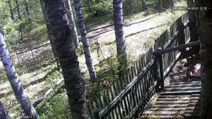 Дачный вор - вынос металла. С камеры видеонаблюдения.