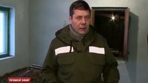 На Среднем Урале стартовал сбор урожая сосновых шишек