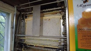 Снимаем вторые корпуса на таёжной пасеке, откачка мёда, Пасека Старчевских, Сибирь