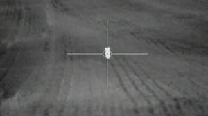 Pulsar Apex XD38 Thermal Riflescope - Fox/Vermin Control Footage - Warning