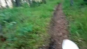 Покатушки на пите!