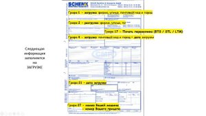 Как правильно оформить CMR