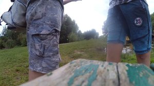 что будет если укусит жук-олень