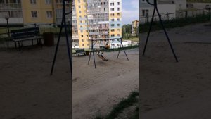 Зелёные горки. Прогулка по Томску.