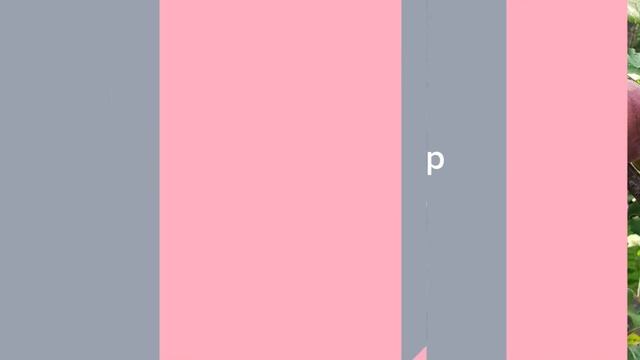 Садовый Центр Зелений Двір - Абрикос Черный Принц смотреть онлайн