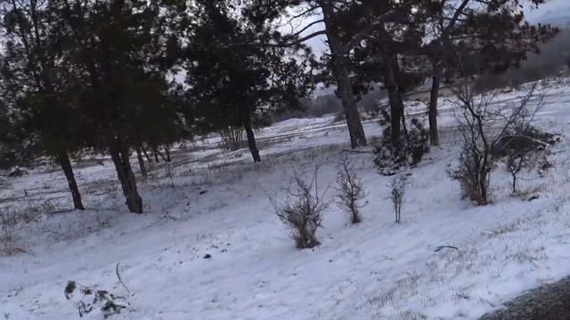 Покупаем корма и животных. смотреть онлайн