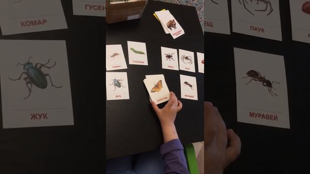 карточки насекомые смотреть онлайн