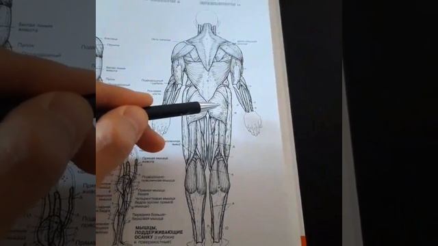Седалищный нерв | Грушевидная мышца | Массаж | Упражнение