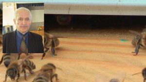 Профессор Кашковский про изоляцию матки