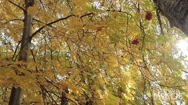 @"Делающий добро"(г...но)! Заберите канал у Мансура! смотреть онлайн