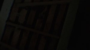 Зимовка пчел в шестирамочниках из ппс с открытым дном