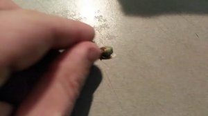 Приправа 10 овощей, с дополнителем!)))