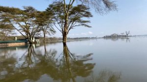 Africa Naivasha trip поездка найроби- найваша 2020