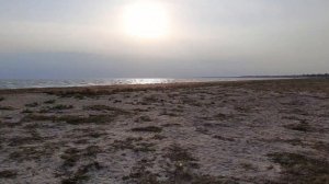Крым, Каркинитский залив, Стерегущее.