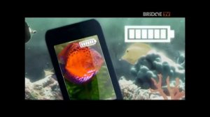 Реклама на BRiDGE TV 28.10.2016