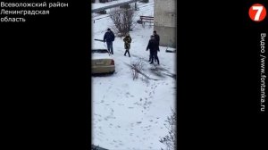 Цыганский беспредел вражда местных жителей и приезжих цыган.