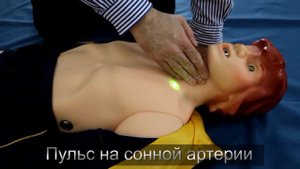 Пульс на сонной артерии