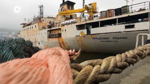 Морская /Один рейс «Академика Опарина» / 25.06.24