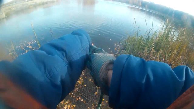 ПМ в городском парке | ЧТО ЖЕ ВЫБРАСЫВАЮТ ЛЮДИ ? |Поисковый Магнит в ДЕЛЕ! смотреть онлайн