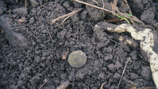 Нашёл монету своей мечты! Коп в заброшенной деревне. смотреть онлайн