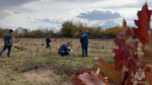 Сотрудники МЧС России приняли участие в акции «Сохраним лес»