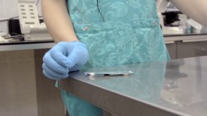 Как дать коту таблетку