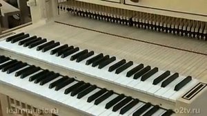 Устройство органа