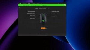 Razer DeathAdder Essential - ОБЗОР В 2023