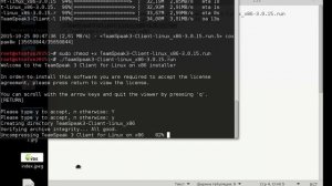 Установка TeamSpeak3-Client-linux версии (X64 и X86).mp4