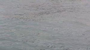 Футаж. Рябь и блики на воде 57