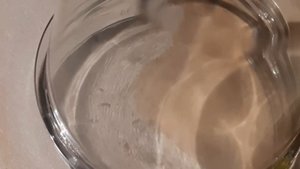 Эксперименты над жучком! Жуки кожееды.
