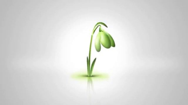 Spring Multimania Tv Bumper 2