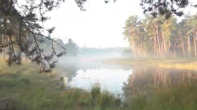 Расслабляющая Музыка Гитара, Релаксация, Медитации. Инструментальная музыка . смотреть онлайн