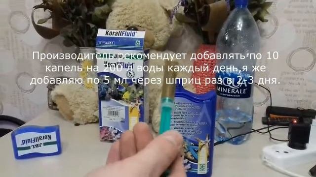 Подкормка кораллов