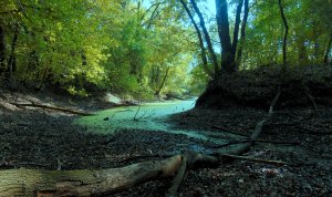 НАШЁЛ ЗОЛОТОНОСНЫЙ РУЧЕЙ!