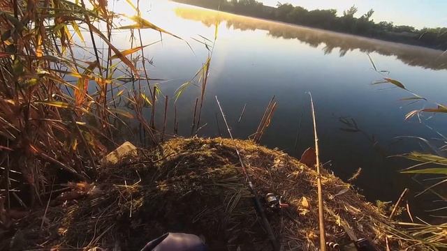 ЛОВЛЯ КАРАСЕЙ И ПОДЛЕЩИКОВ ЛЕТНИМ ХОЛОДНЫМ УТРОМ. ЛЕТНЯЯ РЫБАЛКА. УДОЧКАМИ. смотреть онлайн
