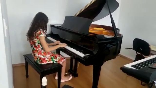 Primeiro vídeo de piano: Für Elise (piano de cauda) смотреть онлайн