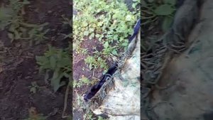 как прокачать задние амортизаторы