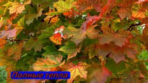 Песни для детей. Осенняя сказка