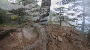 Путешествие во Владивосток. Часть 12. Бухта Теляковского