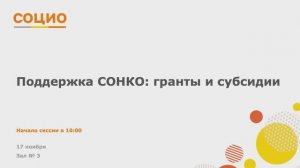 Поддержка СО НКО: гранты и субсидии